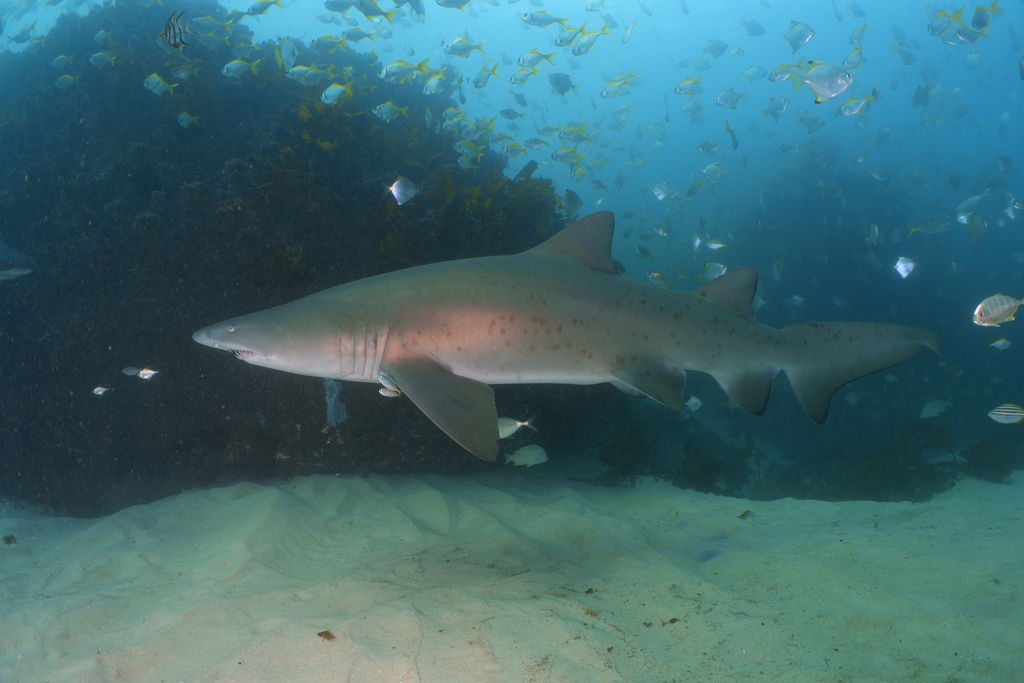 ccd089c5-a274-4218-9d03-74c950f99782