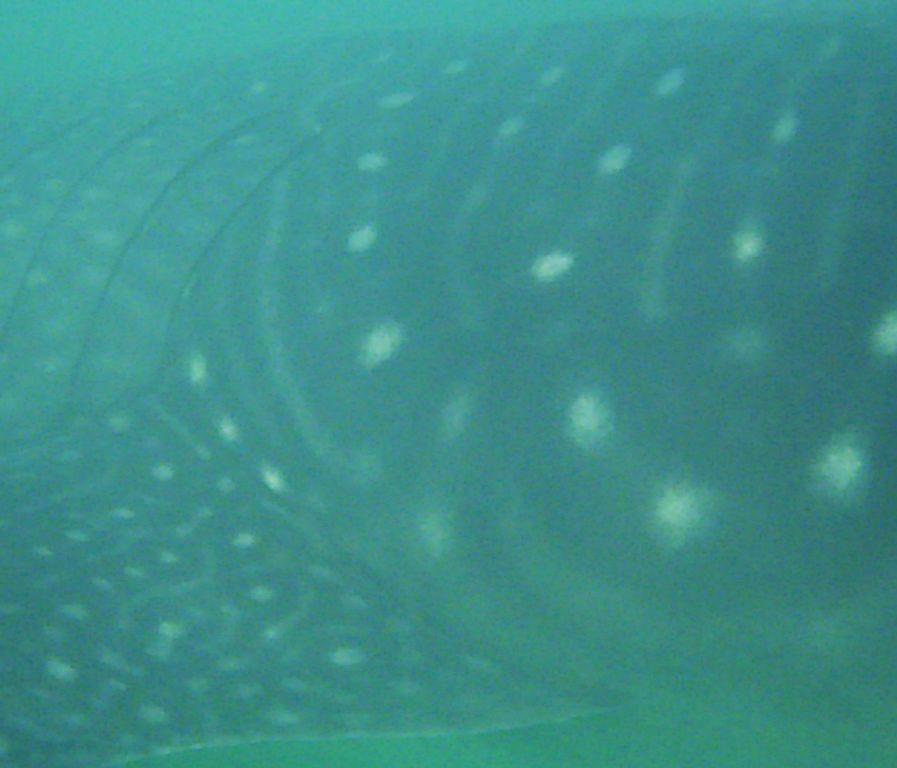 329eca01-a3ce-4b28-b0af-d52e4f94e43f