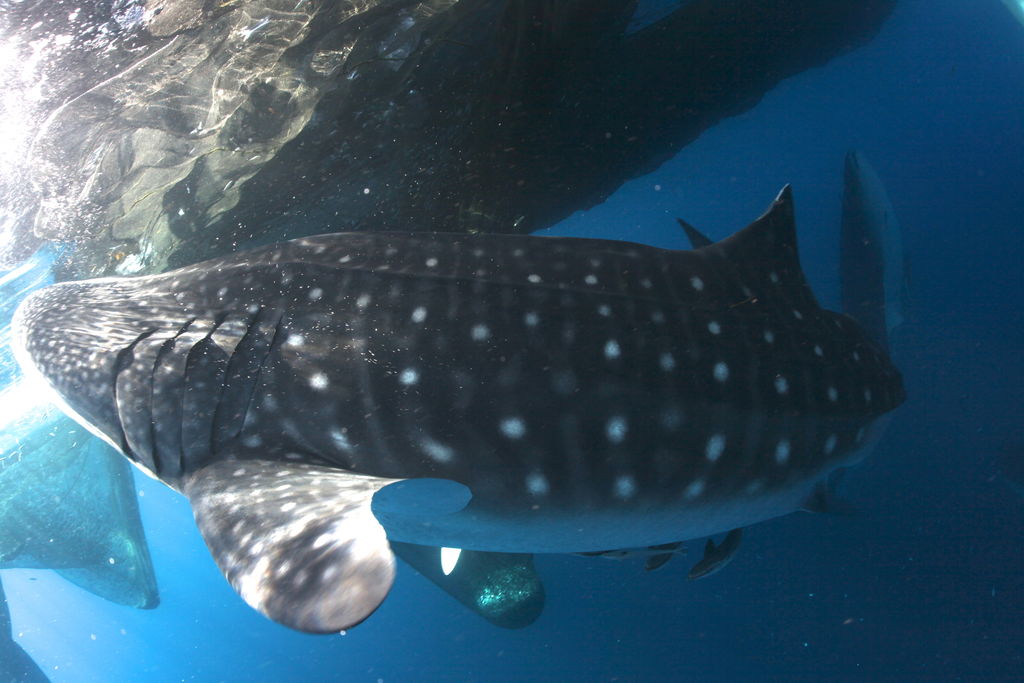 3b299980-2c30-4f09-8fcf-a02ab1b9cd20