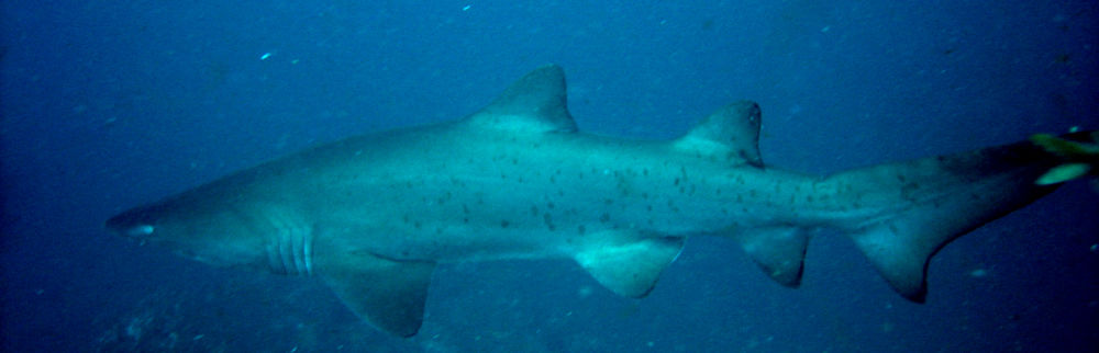 b1c6c25a-3dda-482b-b193-f920fe72ddc0