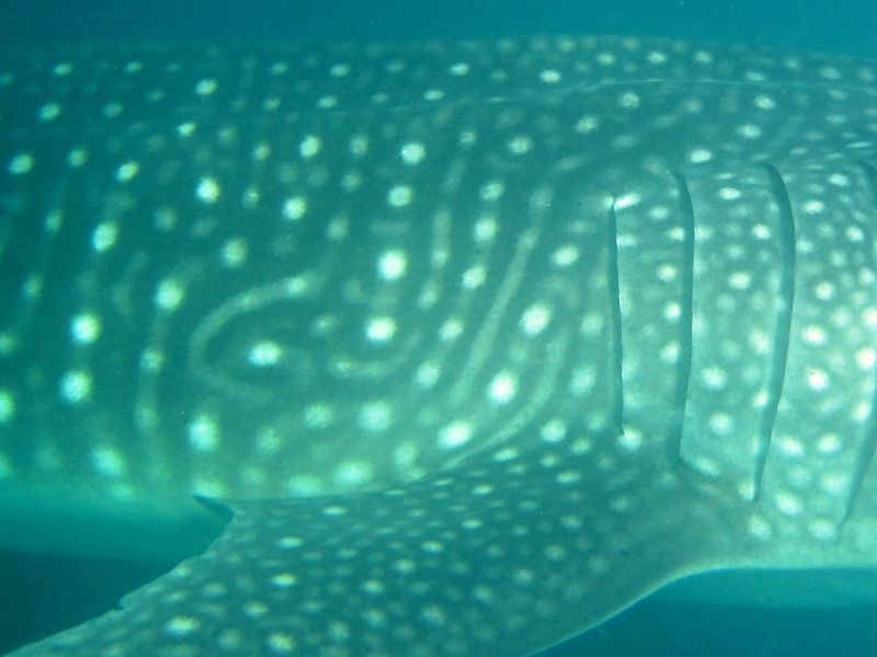 0ad744fe-eae8-4c31-b14b-9c4a9f8e749c