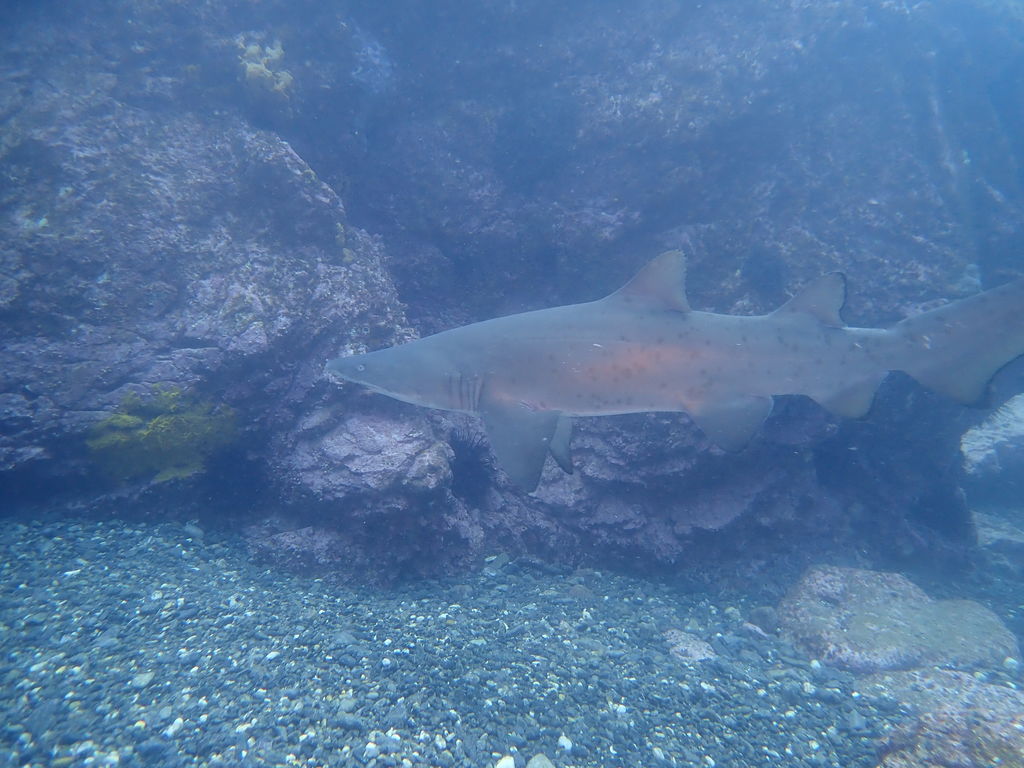 9acf4cfc-8852-447c-97a2-fd1980af1ade