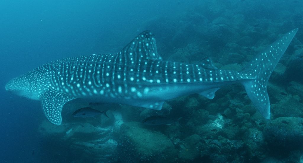 a2c8e4dd-65f5-43d7-8e5d-845d4ded17b5