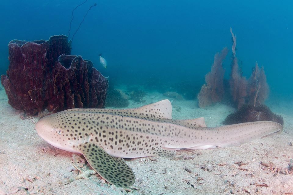 a1e28b4f-7146-4243-9de4-055c6ba98c9b