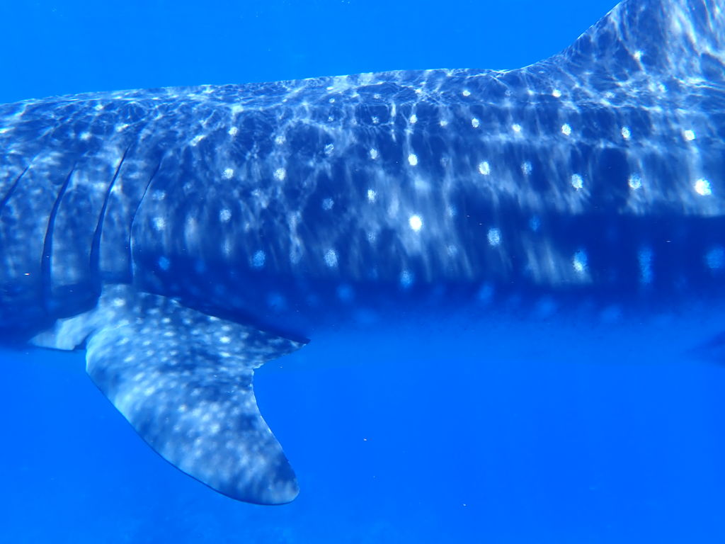 6e5f5a6c-686a-4797-94c0-784f44812f9d