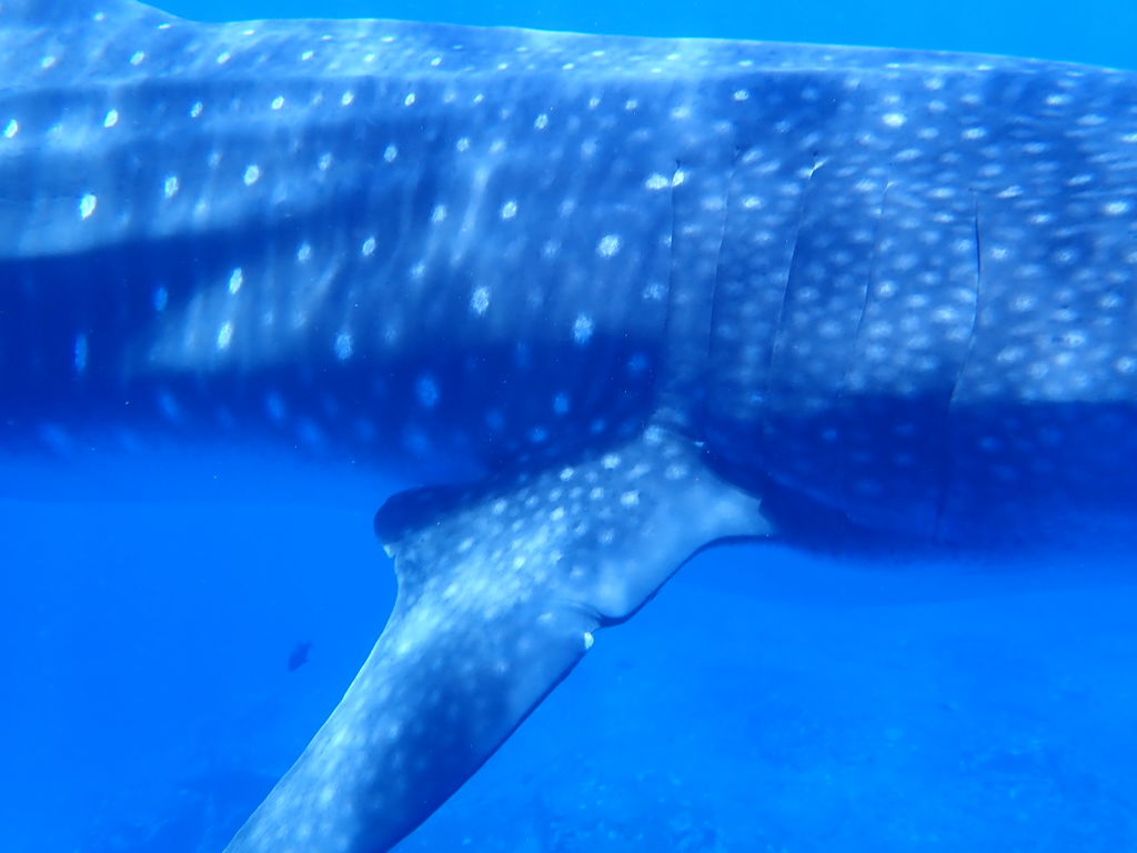 6e5f5a6c-686a-4797-94c0-784f44812f9d