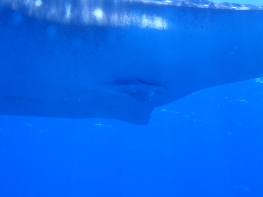 6e5f5a6c-686a-4797-94c0-784f44812f9d