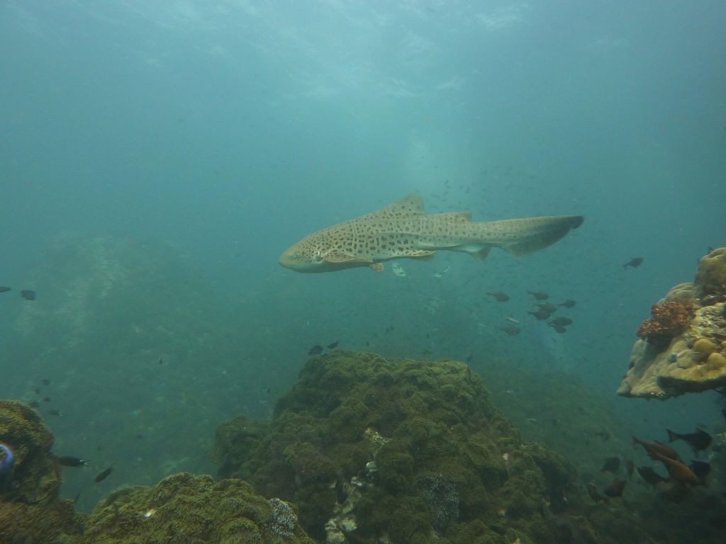 8c645a8e-72c8-42d1-ac40-40e236f92b77