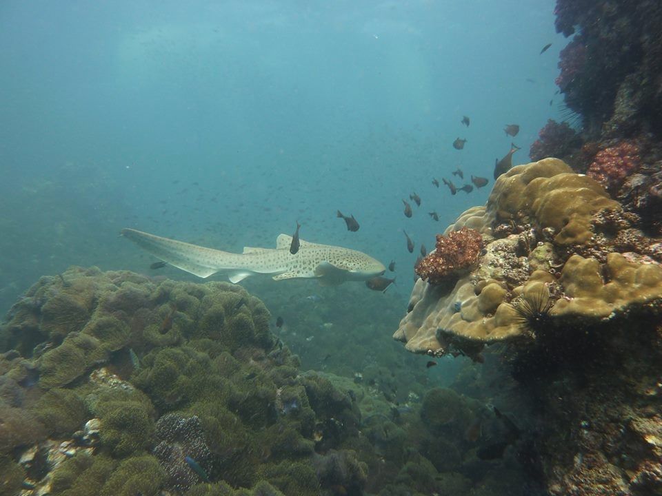 8c645a8e-72c8-42d1-ac40-40e236f92b77