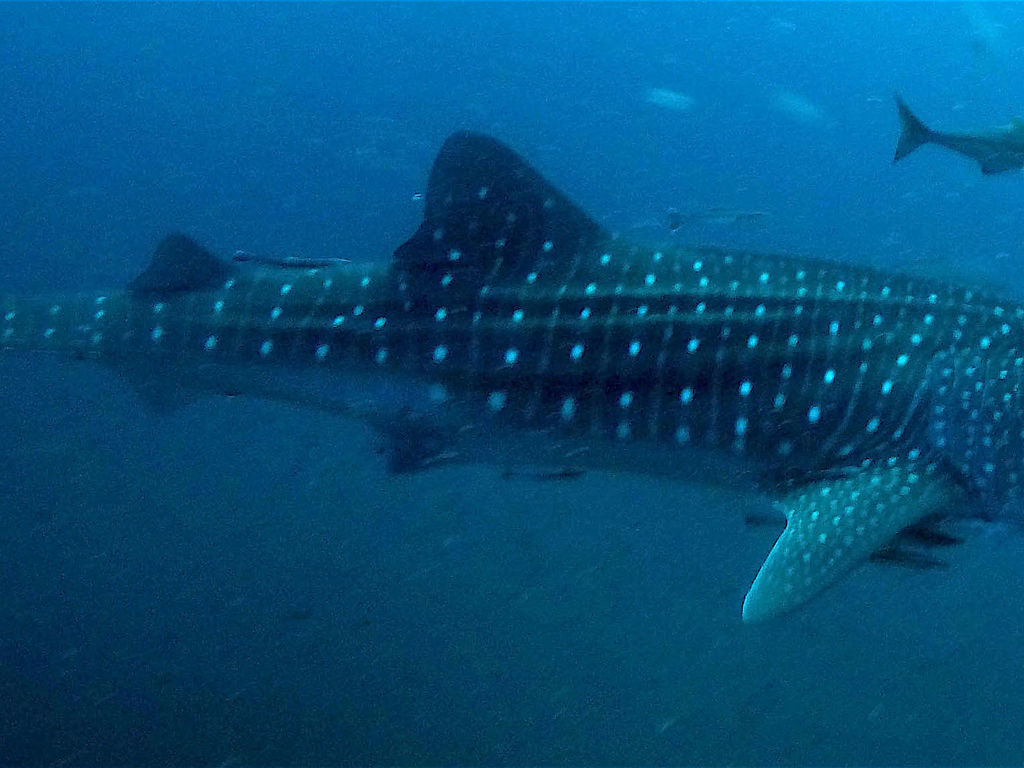 b7ba3bf3-6f0f-4488-8c78-d550d4b75602