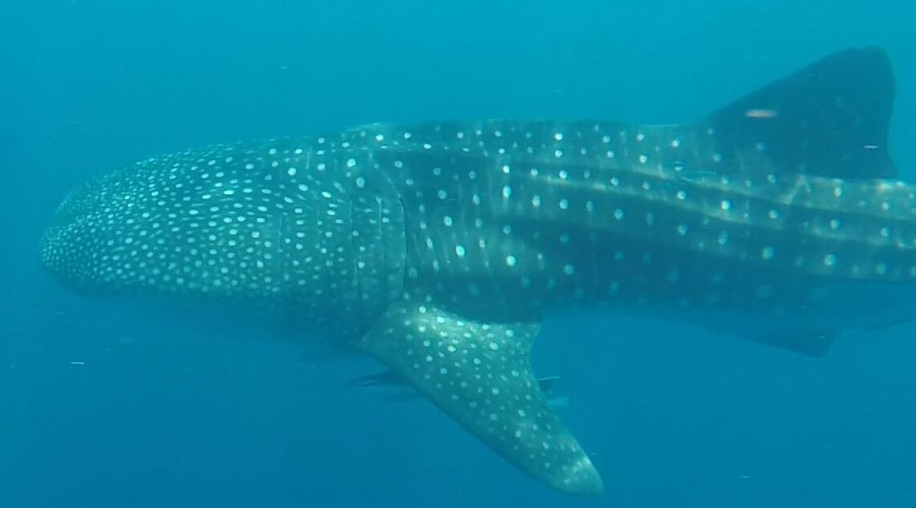 7270f45f-505b-4d2d-b4d4-6d0f6627c15c