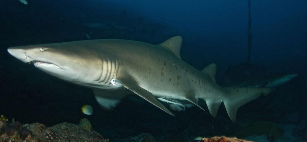 c33e1f57-6f51-41ef-b9e5-dfb3a1124bfd