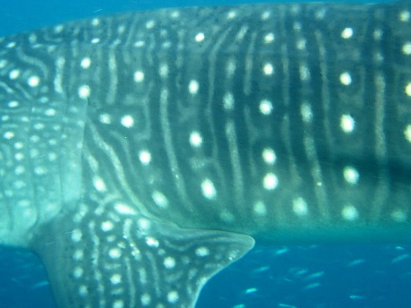 93954211-2564-4eeb-bd01-0b8ca98998d1