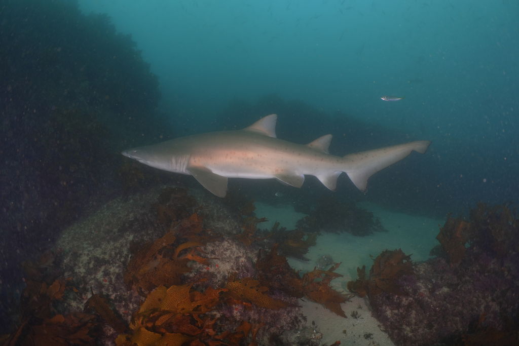 ccd089c5-a274-4218-9d03-74c950f99782