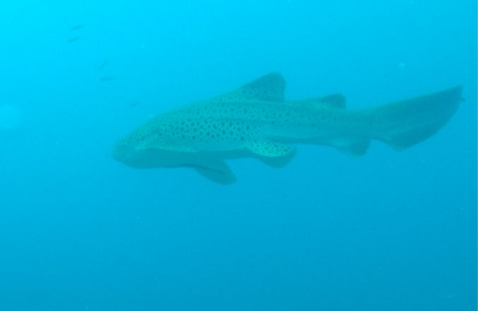 d5244b1b-6912-46a7-a00a-5fa78ccb7639