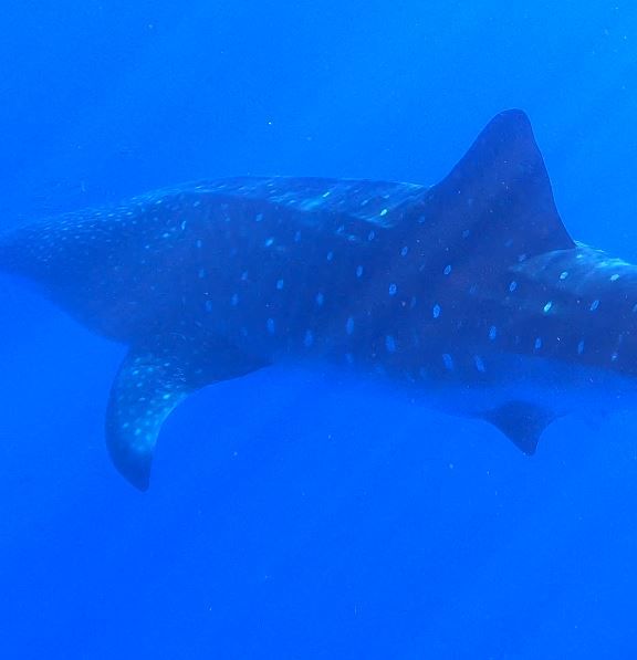 9908f85d-6a45-4359-bcf5-1f87eebfdd30