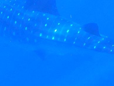 9908f85d-6a45-4359-bcf5-1f87eebfdd30