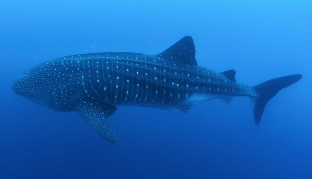 c2074aff-df8e-4569-9158-38d8ecbfeb76