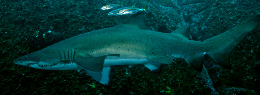 cb68a219-5a24-4b3a-908f-ebb2e1336dae