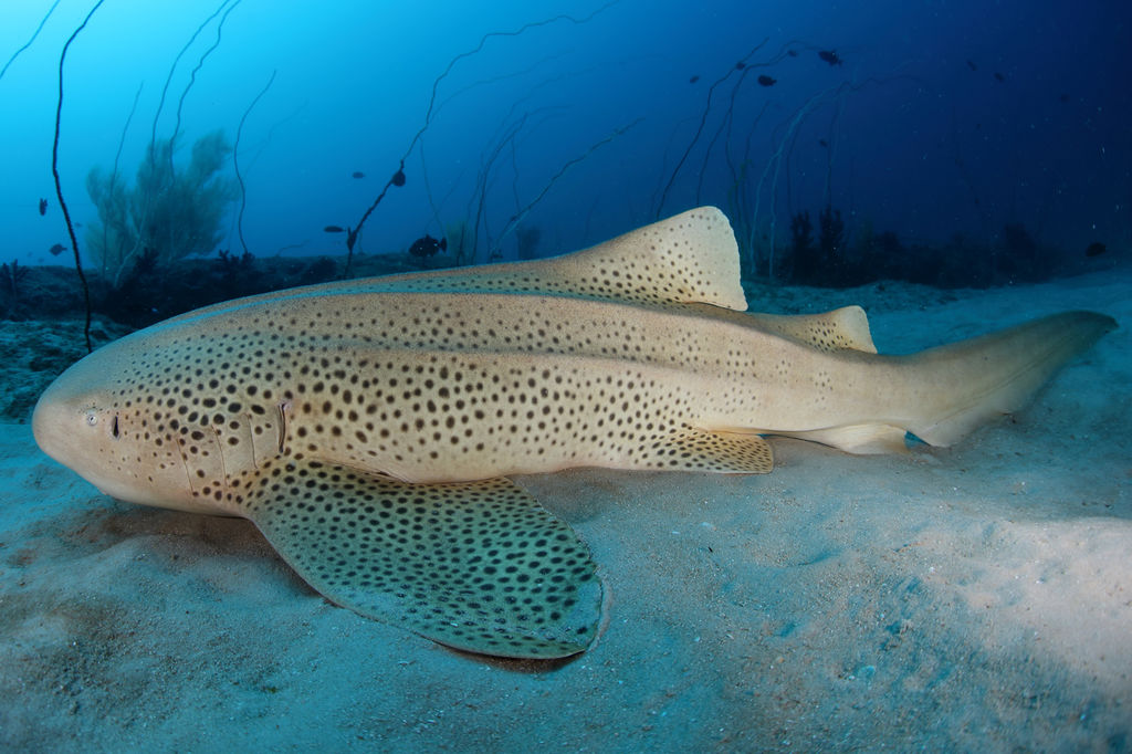 654213e0-e237-4ec9-89c0-8beaf1458046