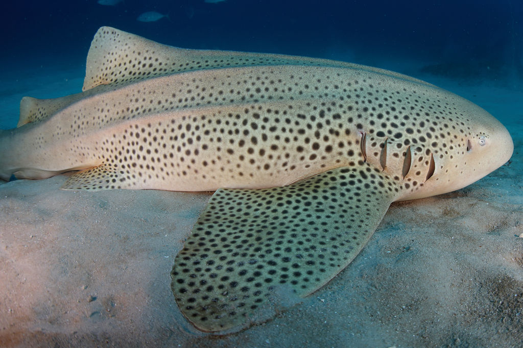 654213e0-e237-4ec9-89c0-8beaf1458046