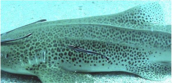 b9586d84-5efa-4752-a812-795bdd04b138