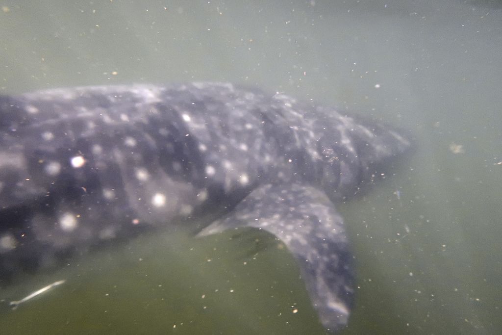 d8ede68c-dd04-4845-9bbc-05afbbe9407c