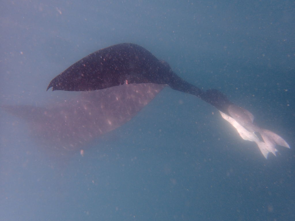 5667f829-42b1-4dd1-8efd-85d22d14f3b2