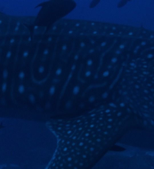 bc4e0d18-e48b-401b-a8b6-0b6281f680ff