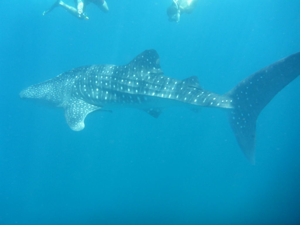 910b20a2-83f3-46d2-adee-4d2b3e121f3d