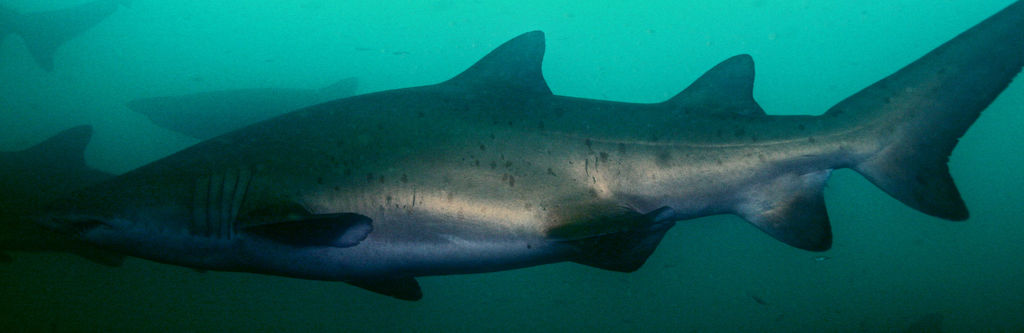 8db40d7e-0f33-4583-96e2-6a751291c238