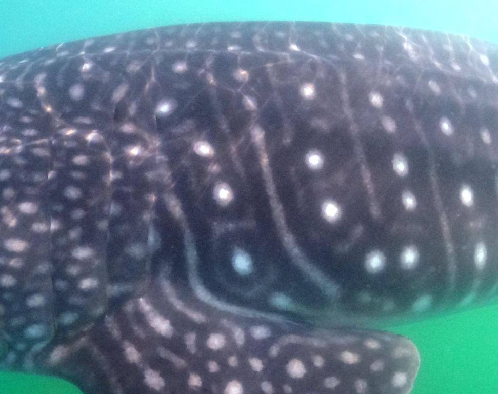 b5ff5852-39ed-4a05-977e-f3519ac3eabe