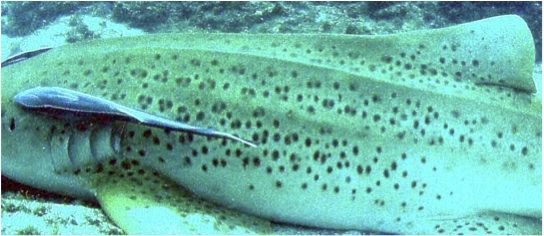 e1b74aac-2abd-41a9-a3aa-51fc939417f8