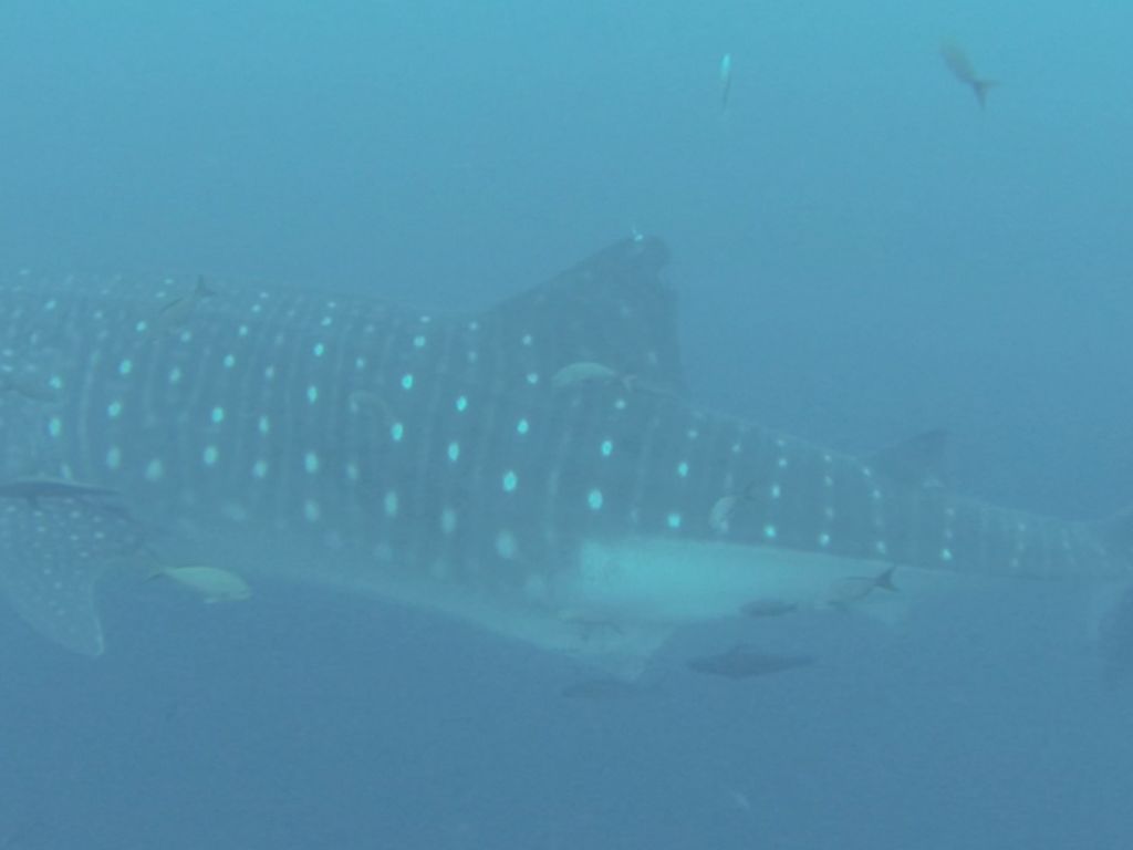 045005e9-bc79-4582-88c8-22efd8aa44fe