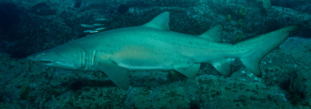 82a5db5c-7da6-48a5-8107-738fc8ef7b7c