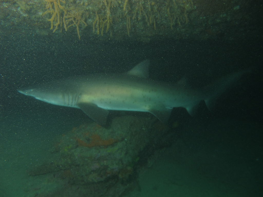 3f64a93d-499f-4fc9-aae2-82b6d564d614