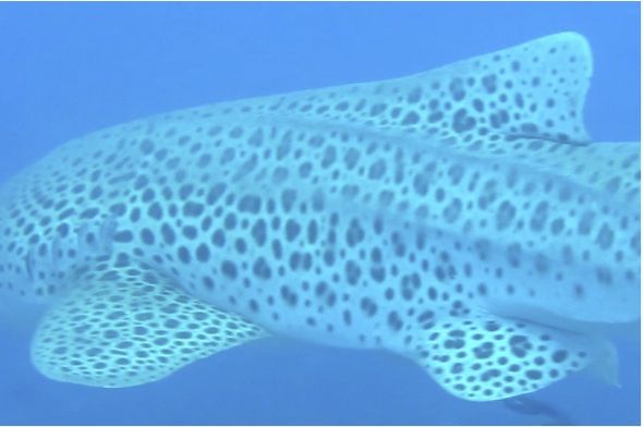 e076dbe0-3db0-4c2a-b772-f52f7f7dcf48