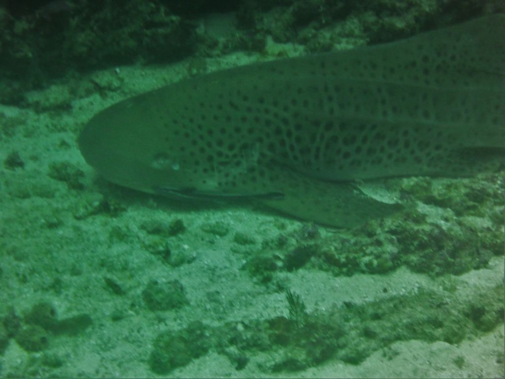 928a144a-269d-42bc-9293-572c1c8cd980