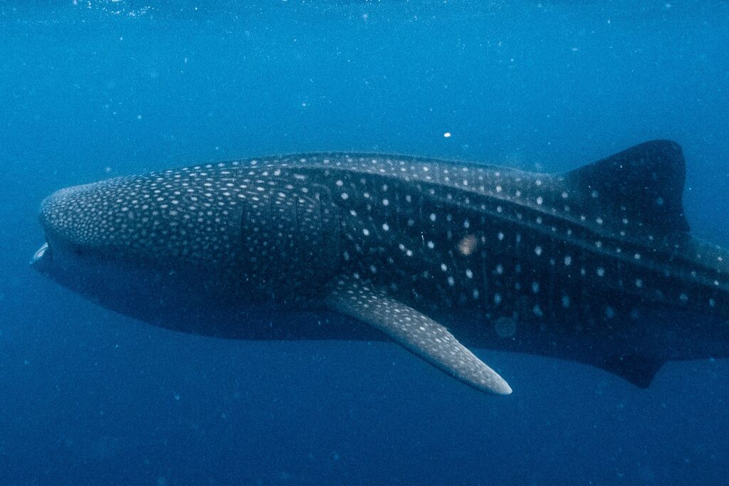 8bbdf70e-81fe-4cc5-bd2f-87fe65199ddc