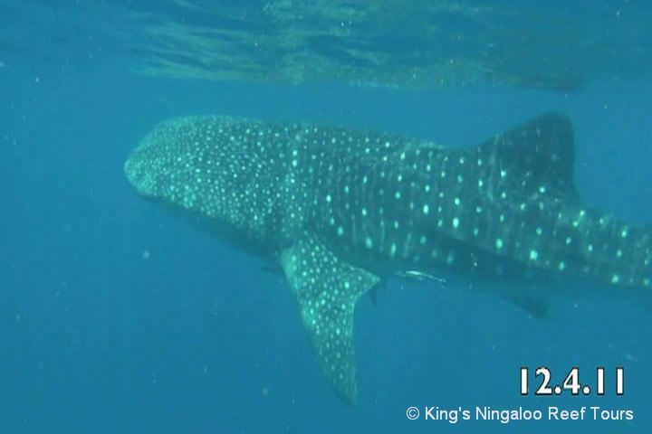 a5e2bd5d-28f7-4daa-87e0-15b7c75506c5