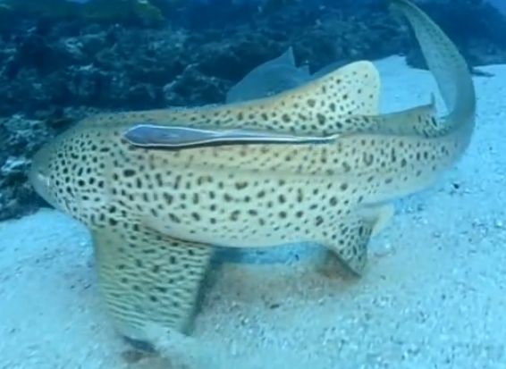 c2ca79fb-1eda-4564-9fc8-e95ecaa9609b