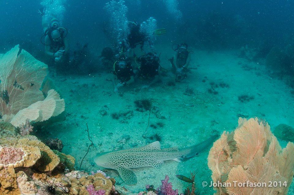 e8db6b52-ced5-4622-bd23-80420fb04af1