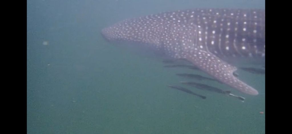 3f2f54df-b666-40c2-a7a8-0bca2e413d8d