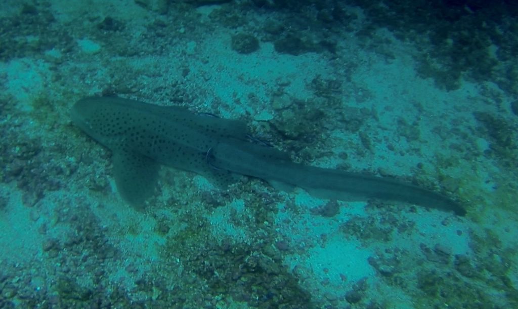 c02b565f-638b-4ac6-8eab-5b97029ce3dc