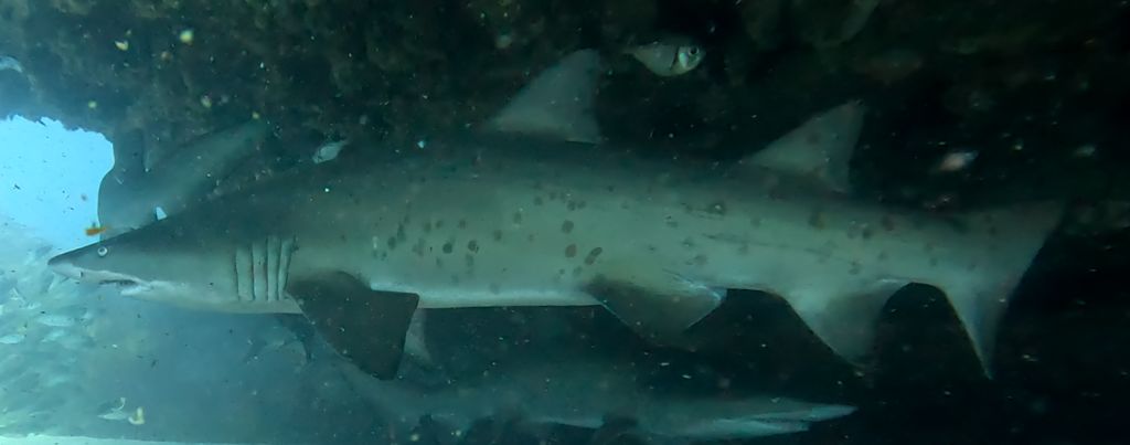 20c00121-df6b-45f5-95ad-09931d565cd6