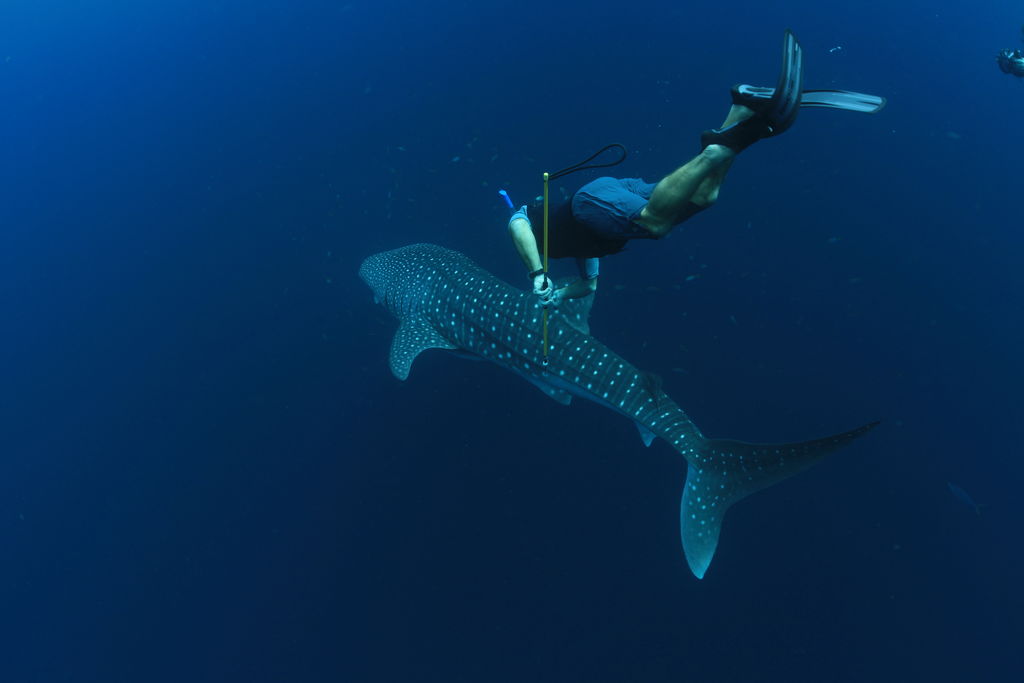 62ed6f5f-0485-4b0e-952a-600a2bb6c803