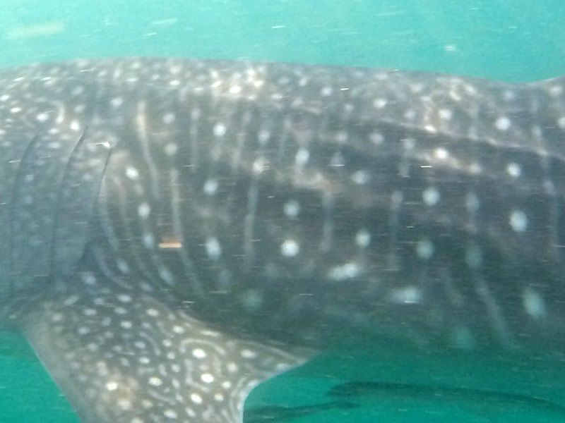 239c8b23-fdd5-414c-93a0-56f7f2194ea7