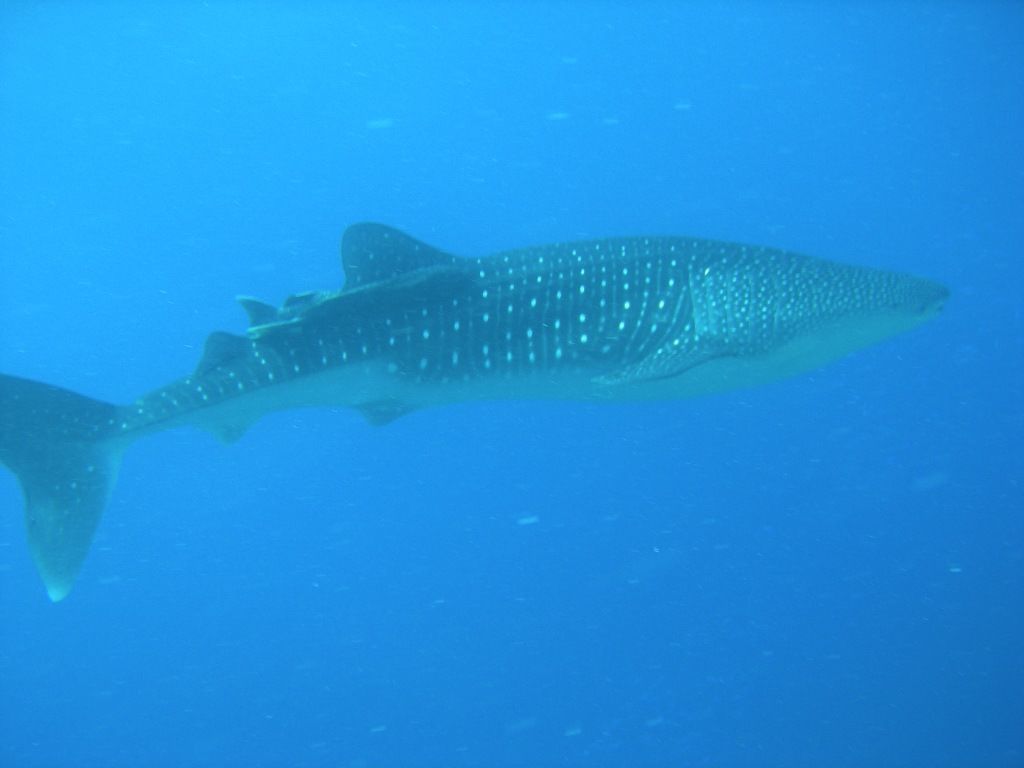 ccf2380d-fc13-46e0-8ebb-5f98d000de2e