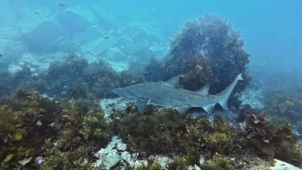 e240a332-5198-48c7-9a95-f5a84b40d058