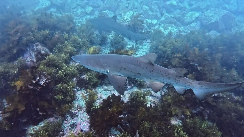 e240a332-5198-48c7-9a95-f5a84b40d058